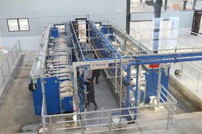 聚力奶綿羊發(fā)展，培育“乳肉”兼用新品種，助力肥料生產(chǎn)新篇章